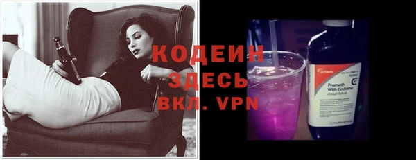 ГАЛЛЮЦИНОГЕННЫЕ ГРИБЫ Горняк