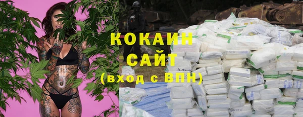 ГАЛЛЮЦИНОГЕННЫЕ ГРИБЫ Горняк