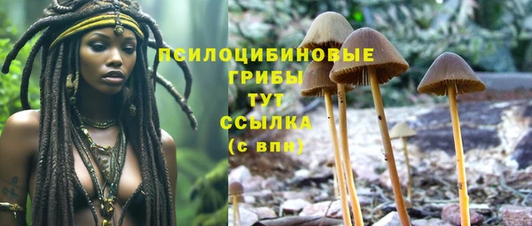 мдма Горнозаводск