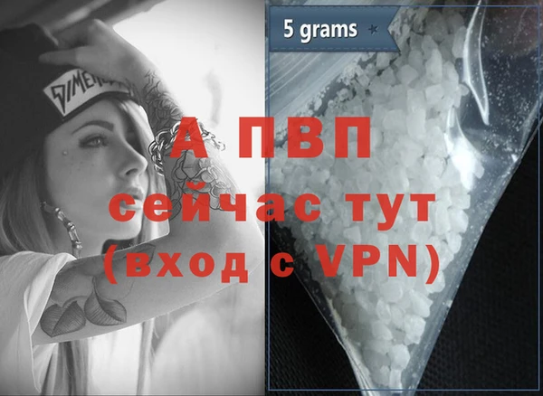 ГАЛЛЮЦИНОГЕННЫЕ ГРИБЫ Горняк
