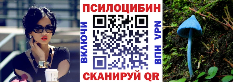 blacksprut ТОР  Меленки  Галлюциногенные грибы мицелий  как найти наркотики 
